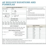 Ap Biology Equation Sheet