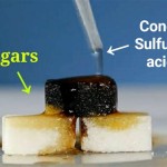 Chemical Equation Table Sugar And Sulfuric Acid