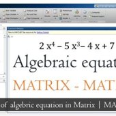 Algebraic Equation Solver Matlab