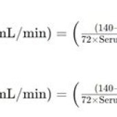 Creatinine Clearance Equation Calculator