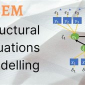 Structural Equation Modelling