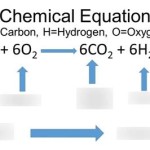 Balanced Chemical Equation For Cellular Respiration Quizlet