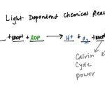 Equation For Light Dependent Reaction