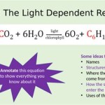 Equation For Light Dependent Reaction