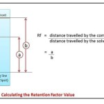 Rf Value Equation Chromatography