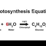 What Is The Equation For Photosynthesis