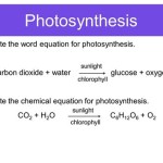 Write The Equation For Photosynthesis