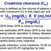 Creatinine Clearance Equation Globalrph
