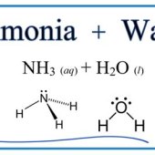Reaction Of Ammonia And Water Equation